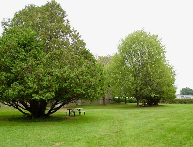 T-Bird Motor Inn hotel detail image 4