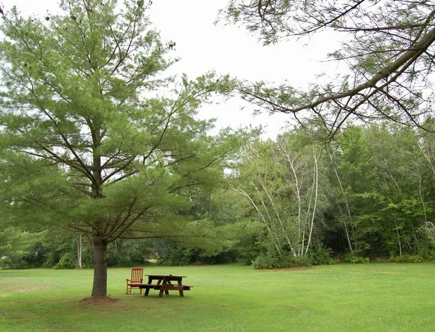T-Bird Motor Inn hotel detail image 3