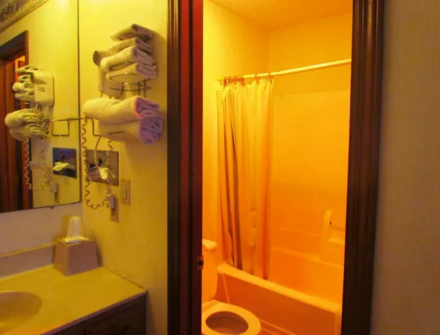 Travel Inn & Suites hotel detail image 4