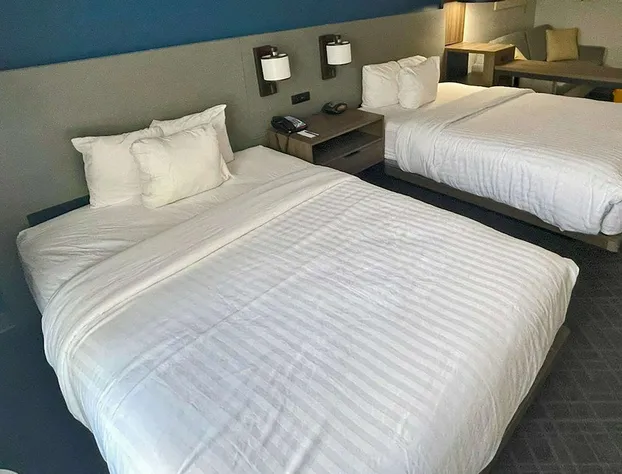 Comfort Suites Mobile-South Alabama University Area hotel detail image 4