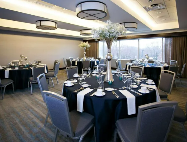 Hilton Minneapolis/Bloomington hotel detail image 3