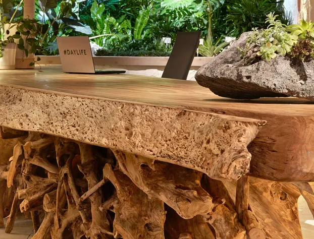 1 Hotel South Beach hotel detail image 4