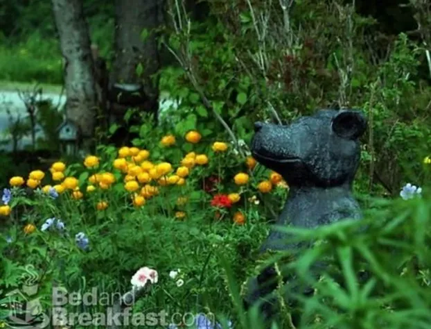 Anchorage Walkabout Town B&B hotel detail image 4