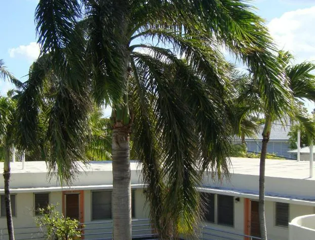 El Patio Motel hotel detail image 4