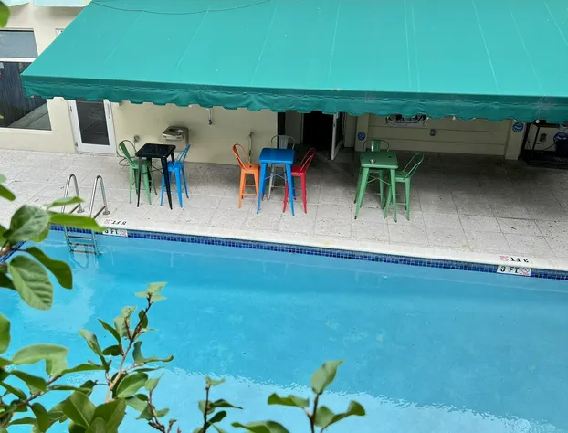 The New Hotel hotel detail image 4