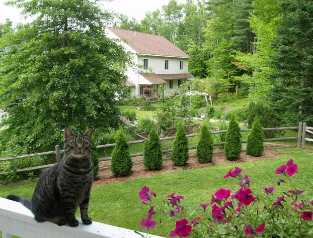 Wilson Lake Inn hotel detail image 1