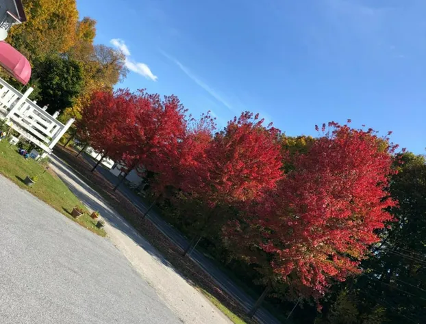 The Autumn Inn hotel detail image 4