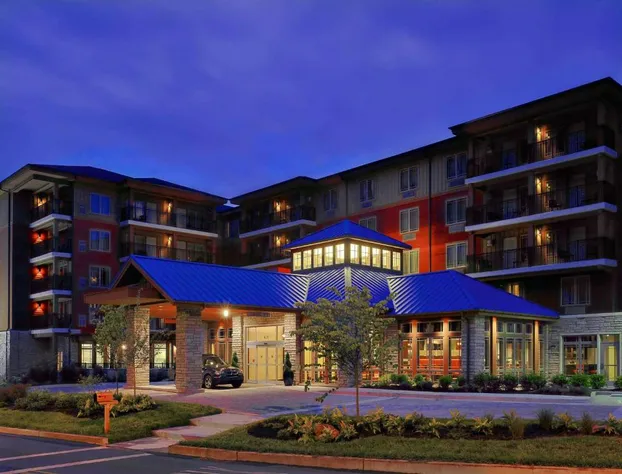 Hilton Garden Inn Gatlinburg hotel detail image 1