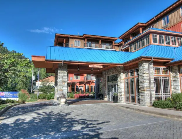 Hilton Garden Inn Gatlinburg hotel detail image 2