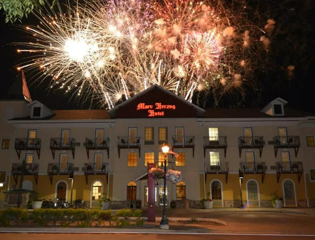 Marv Herzog Hotel hotel detail image 1