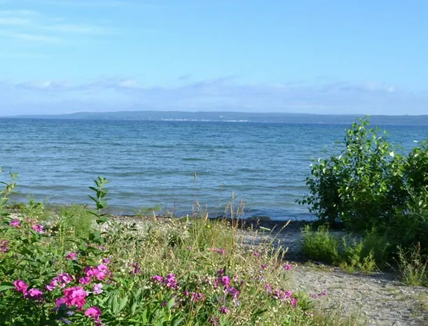 Stafford's Bay View Inn hotel detail image 4
