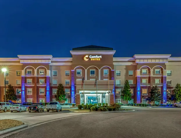 Comfort Suites West Memphis I-40 I-55 hotel detail image 3