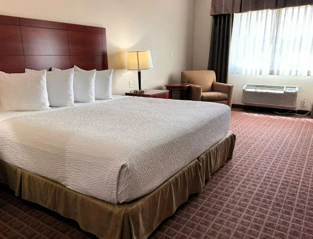 Ramada by Wyndham College Station hotel detail image 4