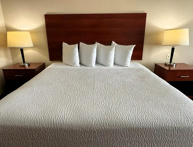 Ramada by Wyndham College Station hotel detail image 4