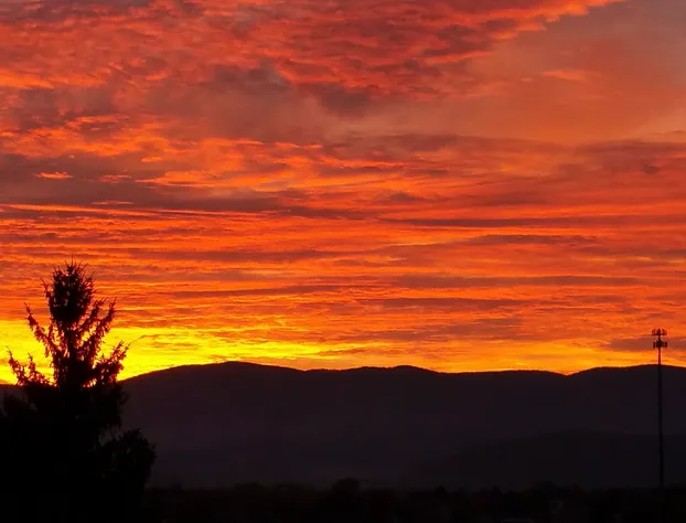 Mayneview B&B hotel detail image 3