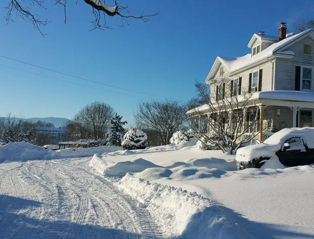 Mayneview B&B hotel detail image 4