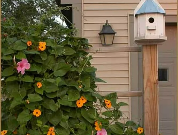 Annville Inn Bed and Breakfast hotel detail image 2