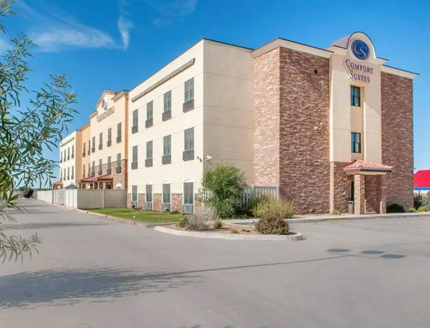 Comfort Suites Roswell North hotel detail image 4