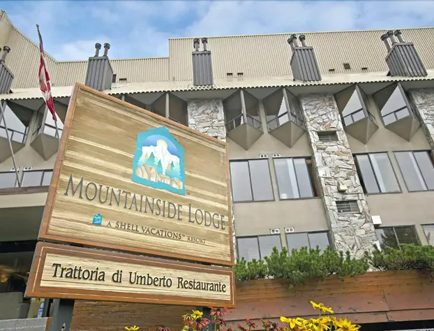 Mountainside Lodge hotel detail image 2