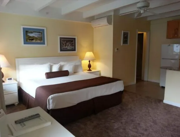 El Terado Terrace hotel detail image 4