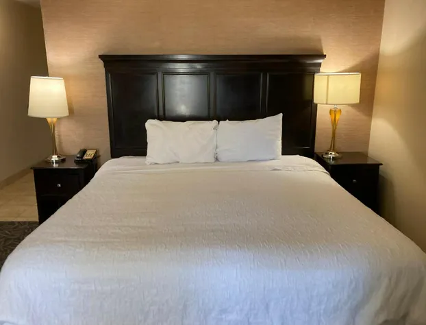 Hampton Inn & Suites Carlsbad hotel detail image 2