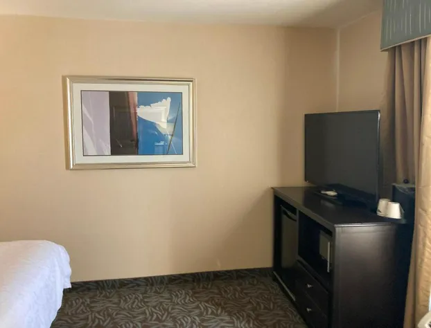 Hampton Inn & Suites Carlsbad hotel detail image 3