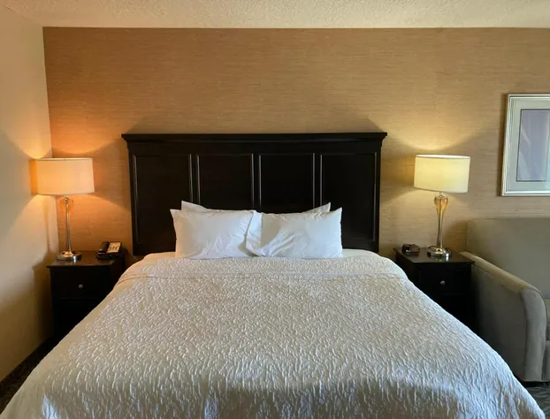 Hampton Inn & Suites Carlsbad hotel detail image 4