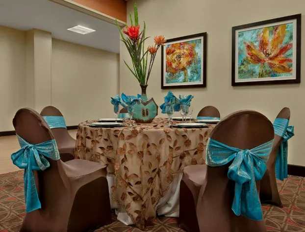 Hampton Inn & Suites Tampa Northwest/Oldsmar hotel detail image 3