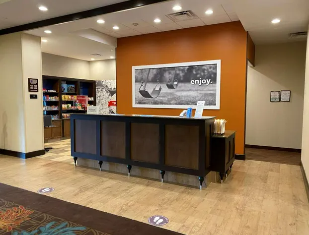 Hampton Inn & Suites Tampa Northwest/Oldsmar hotel detail image 4