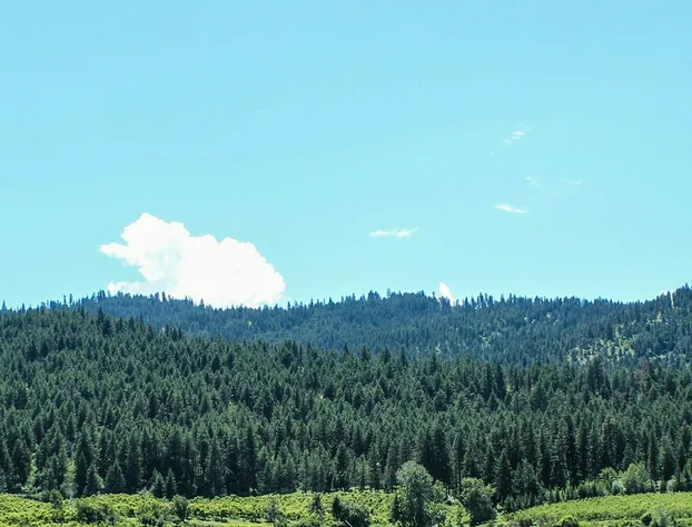 Wedge Mountain Inn hotel detail image 3