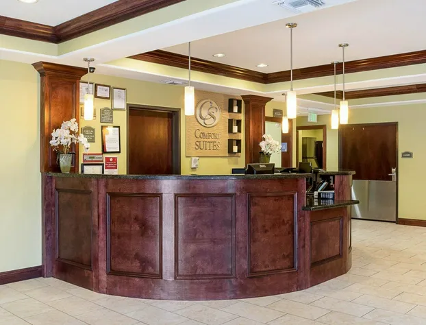 Comfort Suites Harvey - New Orleans West hotel detail image 4