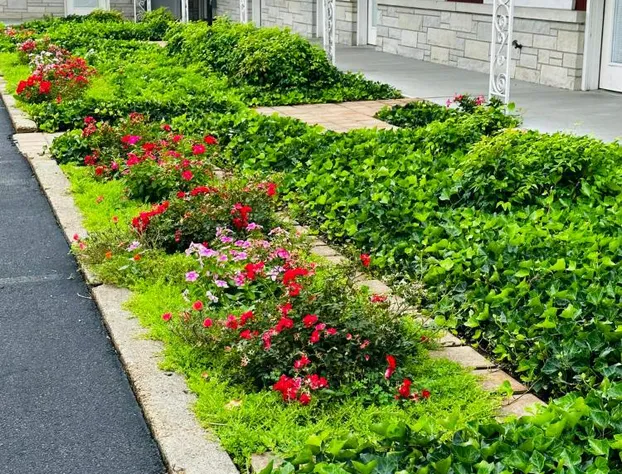 Murray Inn and Art Gallery hotel detail image 4