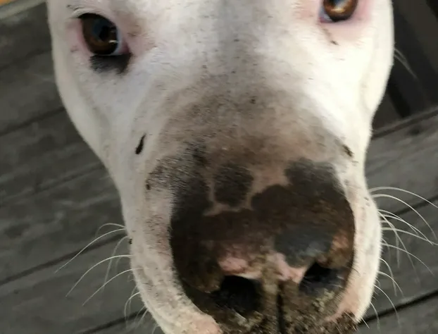 Bayfront Inn at the Waterfront hotel detail image 4