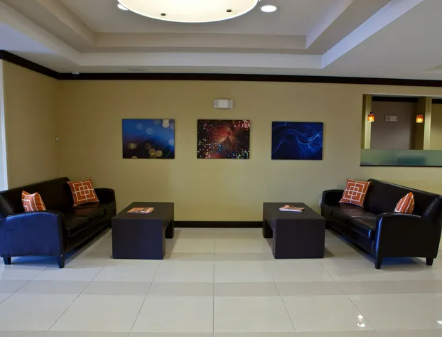 Holiday Inn Express Hotel & Suites Lansing-Dimondale by IHG hotel detail image 2