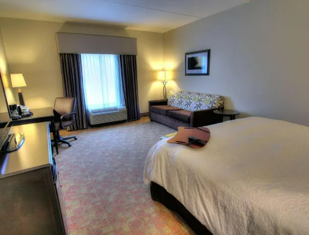 Hampton Inn Pigeon Forge hotel detail image 4