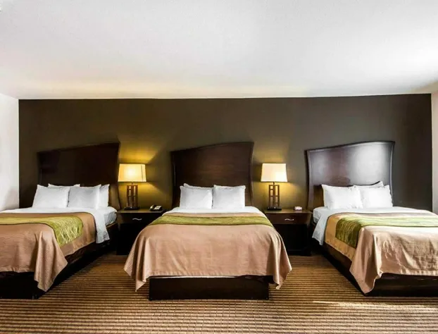 Comfort Inn & Suites Alva hotel detail image 3