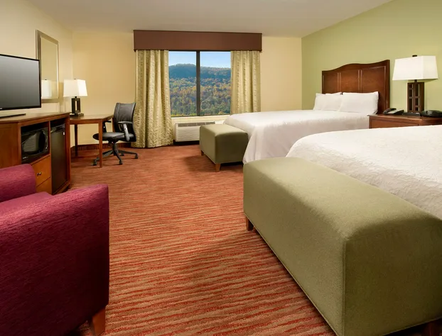 Hampton Inn Kimball hotel detail image 4