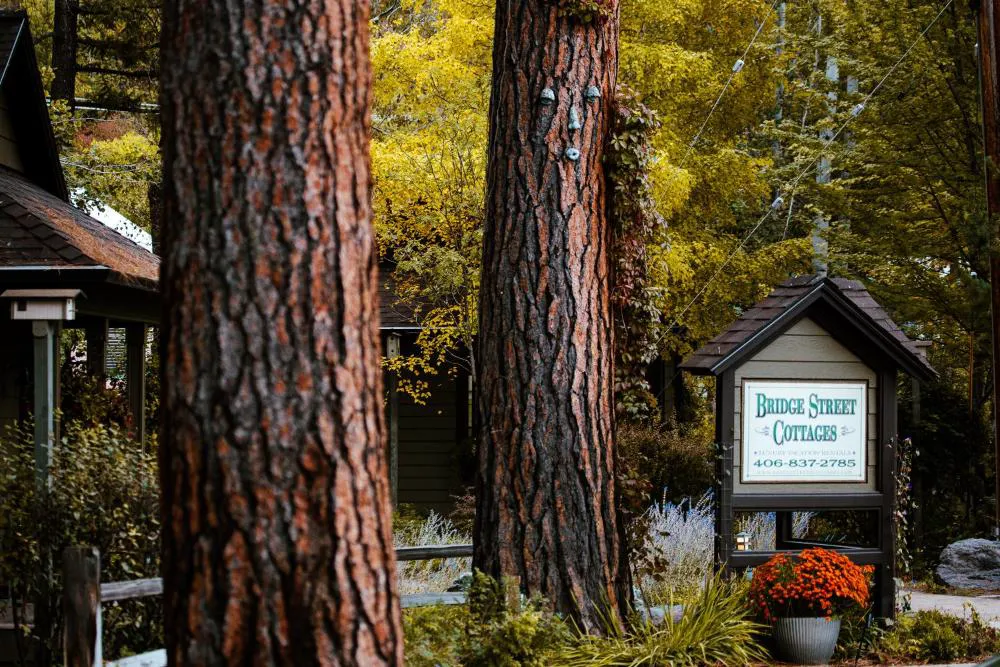 Bridge Street Cottages hotel hero