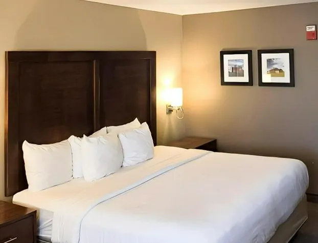 Comfort Inn Marshalltown South hotel detail image 2