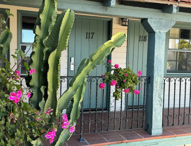 Ala Mar by the Sea hotel detail image 3