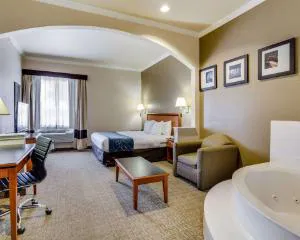 Comfort Suites Deer Park Pasadena hotel detail image 1