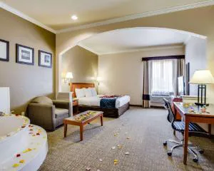 Comfort Suites Deer Park Pasadena hotel detail image 2