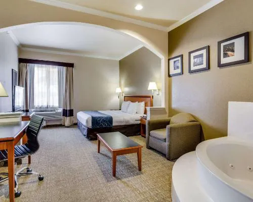 Comfort Suites Deer Park Pasadena hotel detail image 2