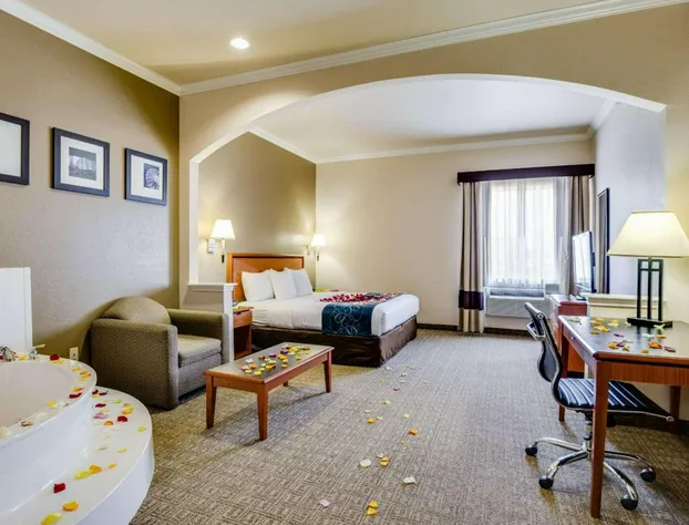 Comfort Suites Deer Park Pasadena hotel detail image 3