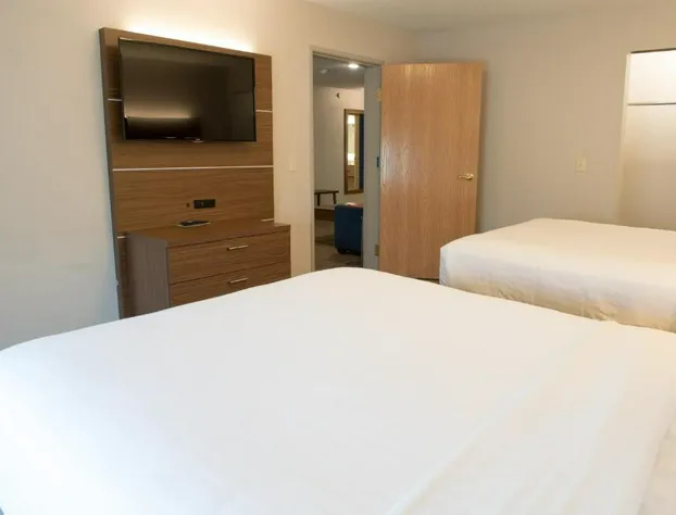 Holiday Inn Express & Suites Elkhart by IHG hotel detail image 1