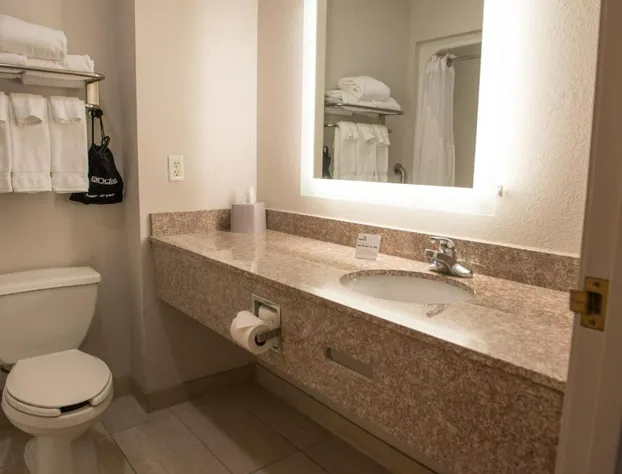 Holiday Inn Express & Suites Elkhart by IHG hotel detail image 3