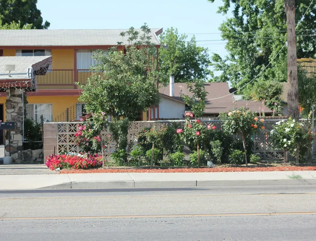 Cinderella Motel hotel detail image 3