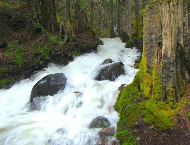 Logden Lodge hotel detail image 1