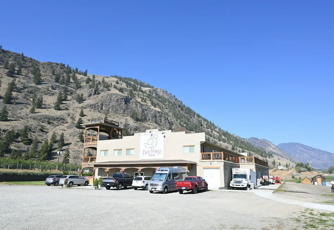 Tree To Me Inn hotel hero