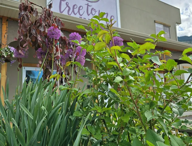 Tree To Me Inn hotel detail image 2